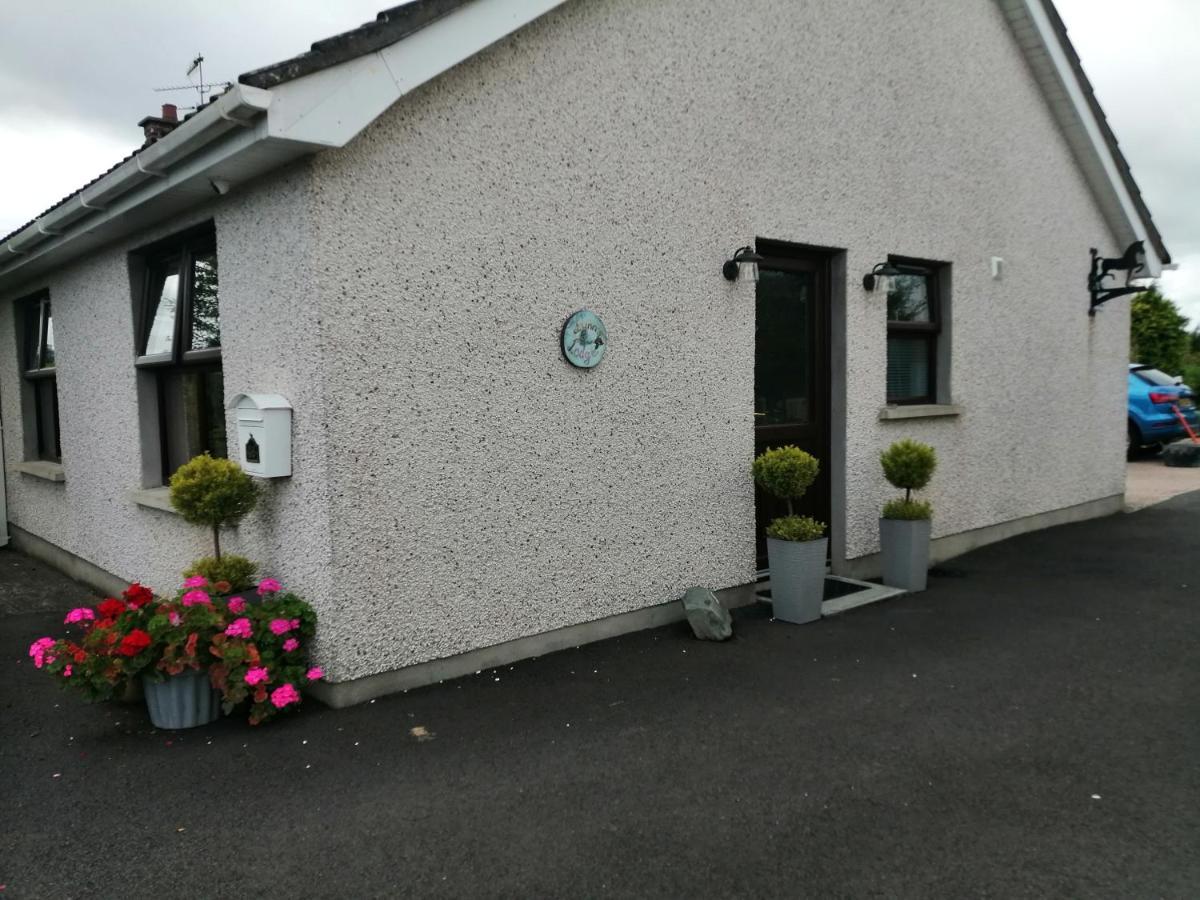 Lynn'S Lodge, International Airport 15Mins Randalstown Εξωτερικό φωτογραφία