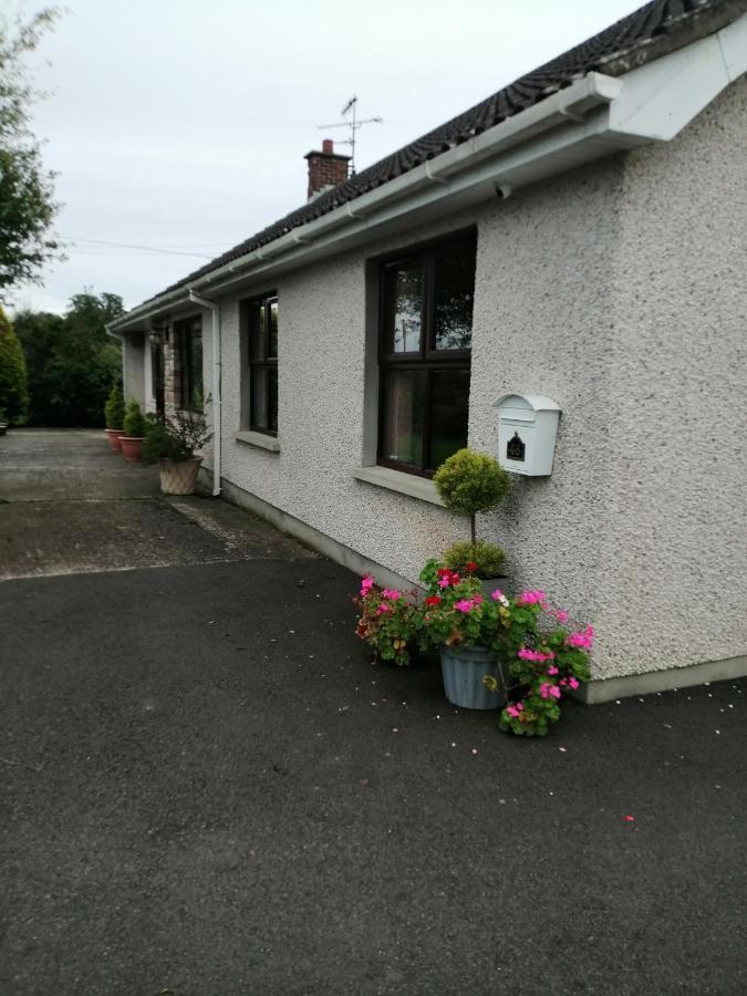 Lynn'S Lodge, International Airport 15Mins Randalstown Εξωτερικό φωτογραφία